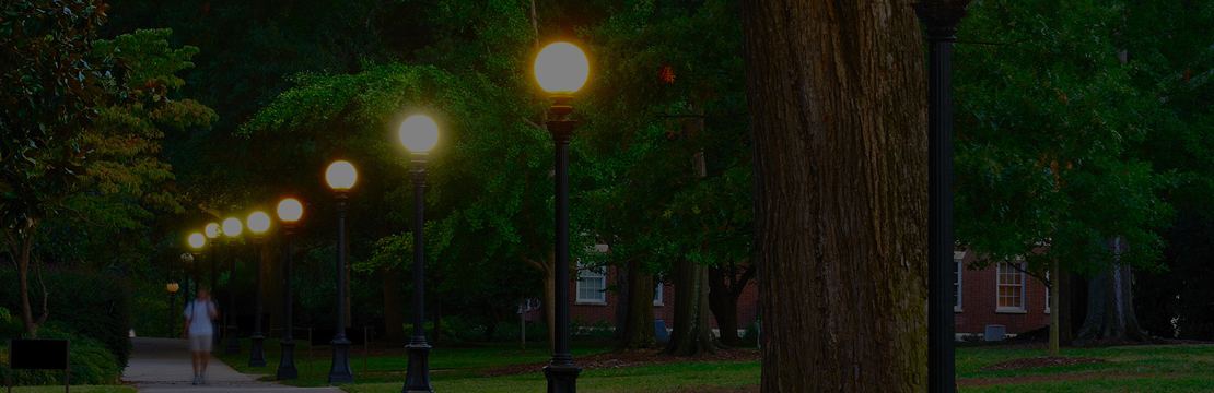 Decorative Poles